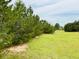 Expansive green lot with large trees, perfect for outdoor activities and privacy at 935 Green Gables Cir, Bennett, CO 80102