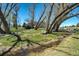 Lush backyard featuring a stream and mature trees, offering a serene and private outdoor space at 16440 Old Denver Rd, Monument, CO 80132