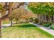 A street with beautiful trees and landscaping near sidewalks and homes at 3386 Valentia St, Denver, CO 80238