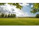 Expansive open field with grazing geese and mature trees under a partly cloudy sky at 12790 Jackson St, Thornton, CO 80241