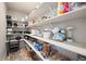 Spacious walk-in pantry with ample shelving and storage for kitchen appliances and food items at 39633 E 160Th Ave, Keenesburg, CO 80643