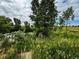 Scenic pond with green vegetation, bench seating, and a tranquil setting at 39633 E 160Th Ave, Keenesburg, CO 80643