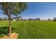 Spacious green common area for residents to enjoy outdoor activities at 723 176Th Ave, Broomfield, CO 80023