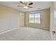 Cozy bedroom featuring a ceiling fan, large window for natural light, and plush carpeting at 2454 Ambience Ln, Castle Rock, CO 80109