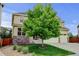 Attractive two-story home with well-maintained lawn, mature tree, and stone accents at 2454 Ambience Ln, Castle Rock, CO 80109