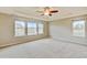 Spacious main bedroom with large windows, ceiling fan, tray ceiling, and plush carpeting at 2454 Ambience Ln, Castle Rock, CO 80109