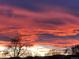 Vibrant sunrise paints the sky with vivid pink and orange hues, creating a dramatic and beautiful scene at 2626 N Steele St, Denver, CO 80205