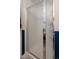 Framed shower has frosted glass doors for privacy at 338 Chelsea St, Castle Rock, CO 80104