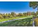 Picturesque backyard view with lush lawn, mature trees, and a pathway, leading to the pond at 4285 Corte Bella Dr, Broomfield, CO 80023