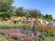 Scenic waterfall surrounded by colorful flowers and lush greenery creates a serene and inviting outdoor space at 4285 Corte Bella Dr, Broomfield, CO 80023