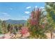 Landscaped backyard with mountain views and colorful trees at 28154 Belle Mont Trl, Conifer, CO 80433