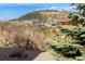 Landscaped backyard featuring mature trees and a view of the surrounding hillside community at 402 Roosevelt St, Palmer Lake, CO 80133