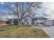 Attractive single story home with covered parking, front yard, and mature tree at 8610 Jolene Dr, Denver, CO 80229