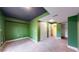 Spacious finished basement featuring green walls, carpeting, and a closet at 7682 S Steele St, Centennial, CO 80122