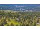 Expansive aerial view of a tranquil community nestled among lush, mature evergreen trees at 5939 S Skyline Dr, Evergreen, CO 80439