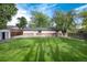 Lush backyard showcasing a storage shed, beautiful lawn, mature trees, and home's exterior at 7695 S Harlan St, Littleton, CO 80128