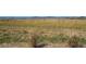 Expanse of undeveloped land with distant mountains, viewed behind vegetation at 2237 Barela Dr, Berthoud, CO 80513