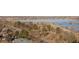 Breathtaking view of the lake from above showcasing the surrounding trees and houses along the waterfront at 4200 W 17Th Ave # 912, Denver, CO 80204