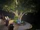 Enchanting nighttime backyard featuring a decorative stone garden with string lights and a soothing water feature at 760 Deframe St, Golden, CO 80401