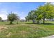 Expansive backyard featuring mature trees, offering ample space for outdoor activities and relaxation at 5602 County Road 15, Fort Lupton, CO 80621