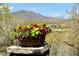 Beautiful flower arrangement sits on the patio with views of the Colorado mountains in the background at 16223 River Haven Way, Morrison, CO 80465