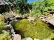 Beautiful koi pond featuring rocks, a small waterfall and lush landscaping at 9466 Morning Glory Ln, Highlands Ranch, CO 80130