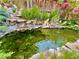 Backyard koi pond with water feature, rock accents and lush landscaping at 9466 Morning Glory Ln, Highlands Ranch, CO 80130