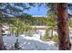 Idyllic winter view framed by trees, showcasing snow-covered ground and distant mountains at 563 Brook Dr, Idaho Springs, CO 80452