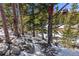 Scenic backyard view featuring trees, rocks, snow, and charming birdhouses at 563 Brook Dr, Idaho Springs, CO 80452