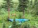 Lush, private backyard featuring a deer and canoe at 563 Brook Dr, Idaho Springs, CO 80452