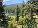 Scenic landscape view featuring lush trees, a calm lake, and majestic mountain views at 563 Brook Dr, Idaho Springs, CO 80452