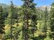 Scenic landscape view featuring lush trees, a calm lake, and majestic mountain views at 563 Brook Dr, Idaho Springs, CO 80452