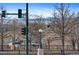 Street view framed by bare trees, showing the amusement park and snow-capped mountains at 1438 Little Raven St # 407, Denver, CO 80202