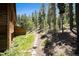 A stone pathway leading through a lush, forested backyard with natural landscaping and mature trees at 5 Ronnie Rd, Golden, CO 80403