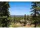 A mountain view of a house through a dense forest and a clear blue sky at 5 Ronnie Rd, Golden, CO 80403