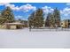 Exterior view with covered picnic shelter, green trees and snow-covered backyard at 2281 S Vaughn Way # 316A, Aurora, CO 80014