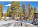 Inviting outdoor space featuring a hot tub and wooded scenery at 255 Divide View Dr, Golden, CO 80403