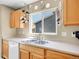 Bright kitchen with modern sink and faucet, cabinets, and a window to let in light at 9595 Elk Mountain Cir, Littleton, CO 80125