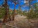 Scenic landscape featuring natural ground cover, trees, and rock outcroppings at 23778 Inca Rd, Indian Hills, CO 80454