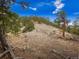 Natural landscape featuring trees, rock formations, and gentle slopes at 23778 Inca Rd, Indian Hills, CO 80454