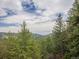 Lush greenery and panoramic views showcase the natural beauty of this treed lot at 23778 Inca Rd, Indian Hills, CO 80454