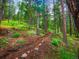 Scenic hiking trail cuts through the trees and brush on a sunny day at 23778 Inca Rd, Indian Hills, CO 80454