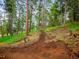 Earthen path cuts through trees and undergrowth with views of nature at 23778 Inca Rd, Indian Hills, CO 80454
