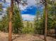 Scenic mountain views framed by lush trees, offering privacy and tranquility at 23778 Inca Rd, Indian Hills, CO 80454