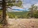 Secluded property with mountain vista, framed by mature trees and natural beauty at 23778 Inca Rd, Indian Hills, CO 80454