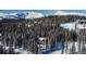 Aerial view of a log home nestled in a snowy mountain forest at 229 Lee Ln, Breckenridge, CO 80424