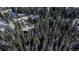 Aerial view of a log cabin in a snowy forest at 229 Lee Ln, Breckenridge, CO 80424