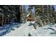 Snowy driveway leading to a log home in the woods at 229 Lee Ln, Breckenridge, CO 80424