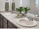 Bathroom with a double sink vanity, framed mirror, and decorative plants at 5347 Warrior St, Frederick, CO 80504
