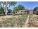 Large backyard with lots of greenery and a wood fence at 1225 S Honey Way, Denver, CO 80224